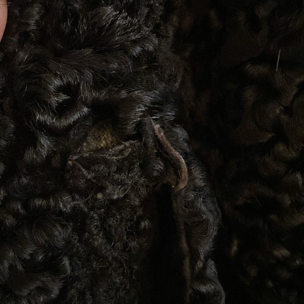 FUR - Picture 10 of 14